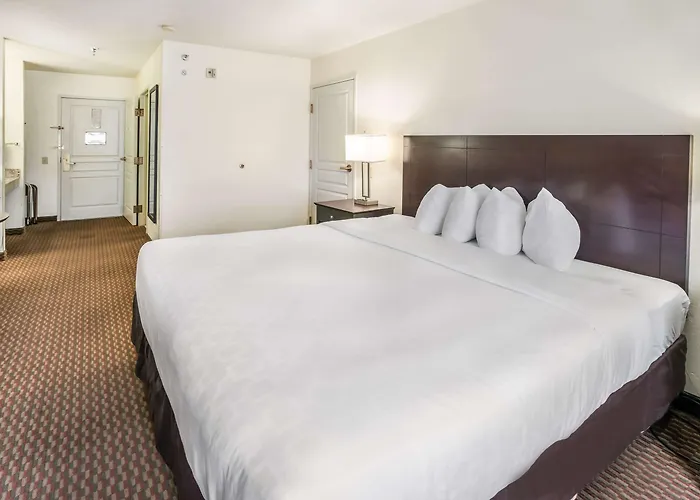 Clarion - Powell Herberg 4*